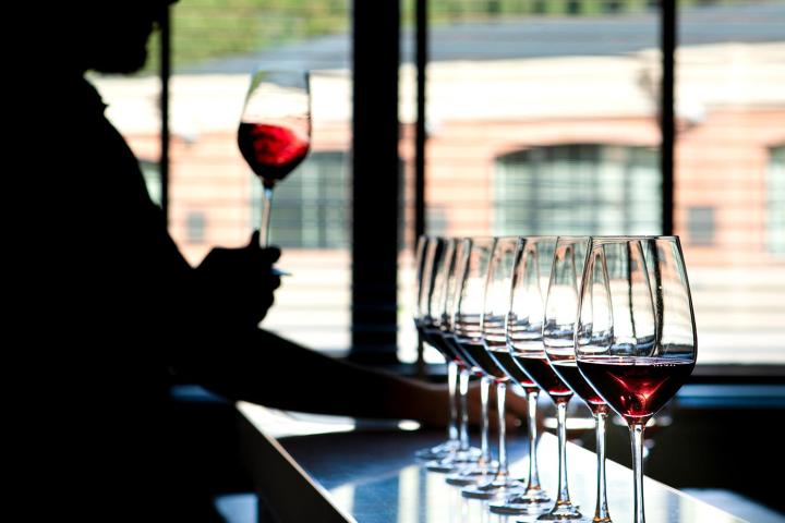 Fonterutoli Wine Tour