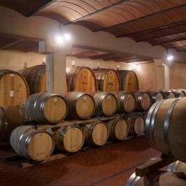 Fonterutoli Wine Tour