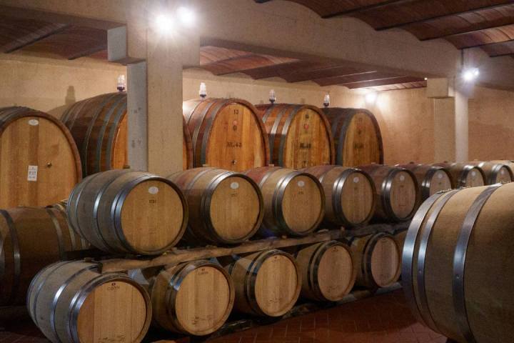 Fonterutoli Wine Tour