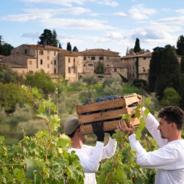 Fonterutoli Wine Tour