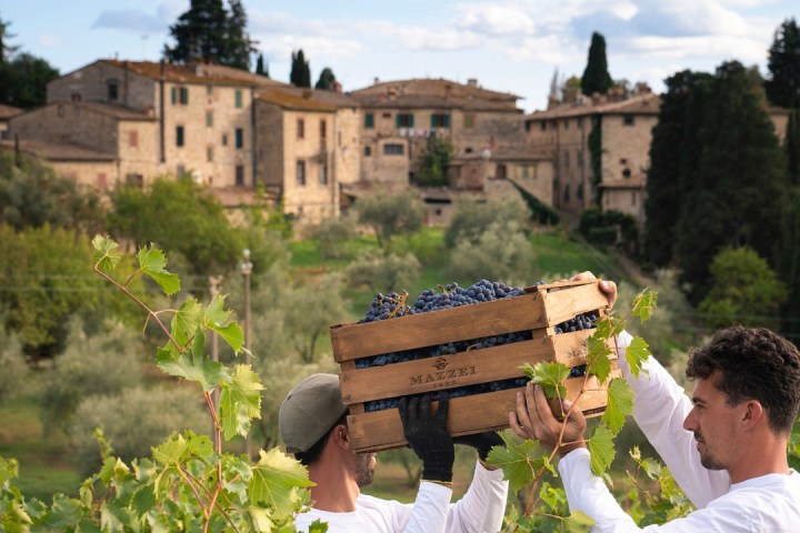 Fonterutoli Wine Tour
