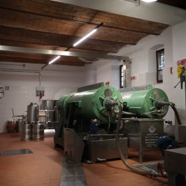 Florence olive oil tasting