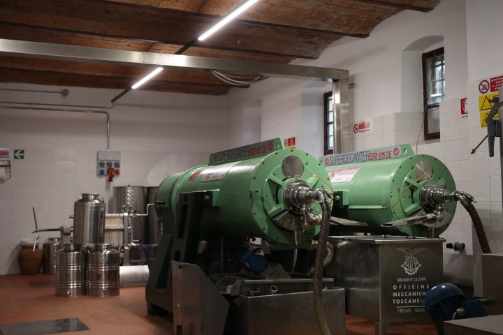 Florence olive oil tasting