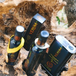 Florence olive oil tasting