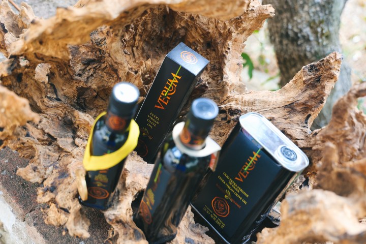 Florence olive oil tasting