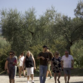 Florence olive oil tasting