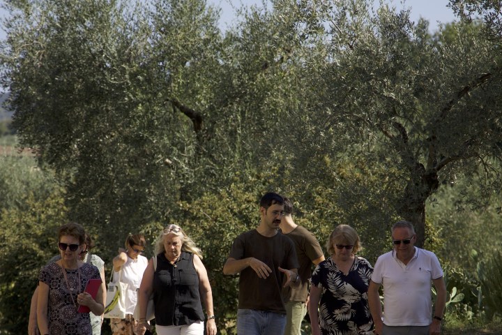 Florence olive oil tasting