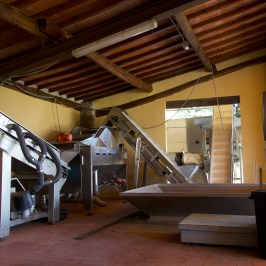 Florence olive oil tasting