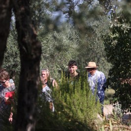 Florence olive oil tasting