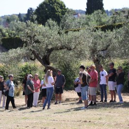 Florence olive oil tasting