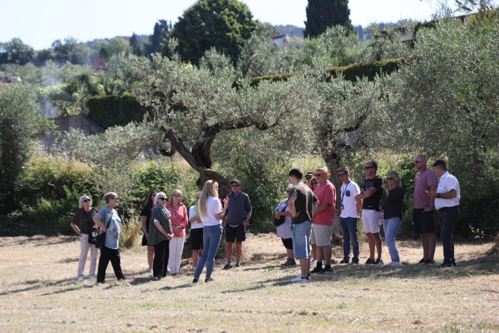Florence olive oil tasting