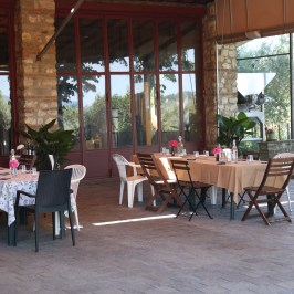 Florence olive oil tasting