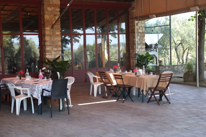 Florence olive oil tasting