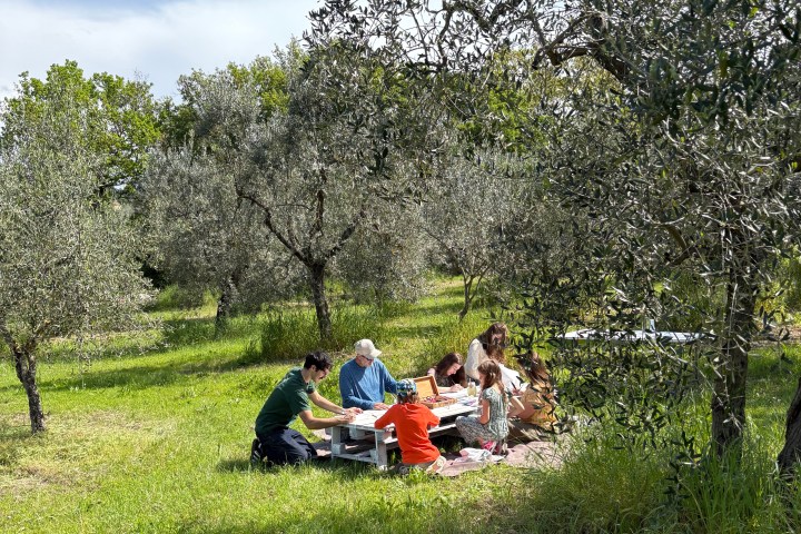 Olive Oil Organic Soap Workshop