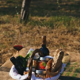 Florence olive oil tour