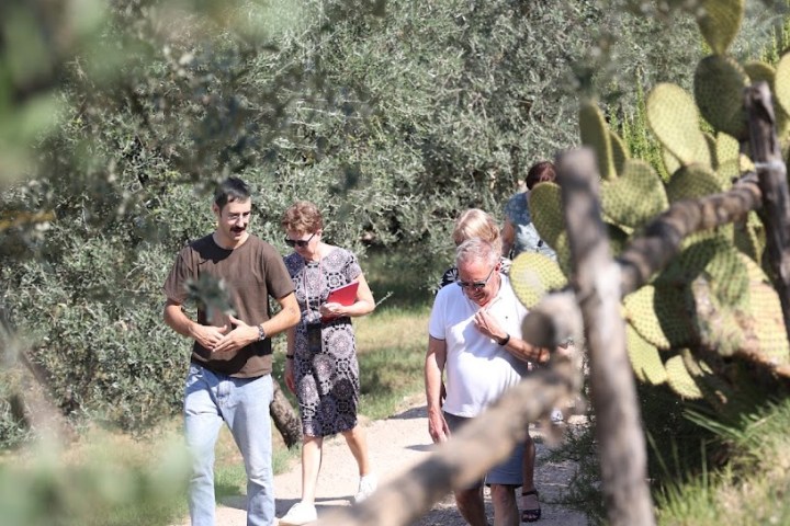 Florence olive oil tour