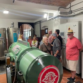 Florence olive oil tour