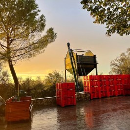 Florence olive oil tour