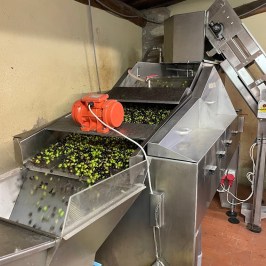 Florence olive oil tour
