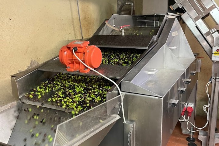 Florence olive oil tour