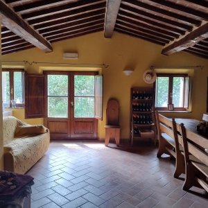 Siena Pecorino & Sheep Farm Experience