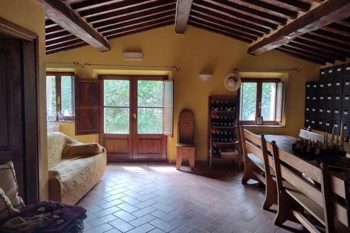 Siena Pecorino & Sheep Farm Experience