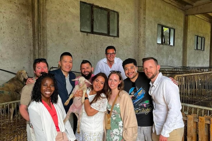 Siena Pecorino & Sheep Farm Experience