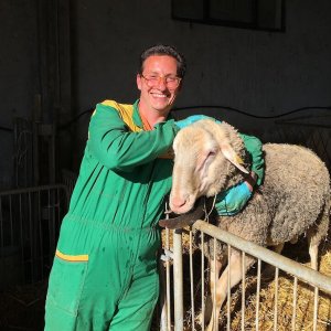 Siena Pecorino & Sheep Farm Experience