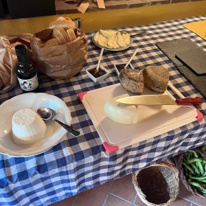 Siena Pecorino & Sheep Farm Experience