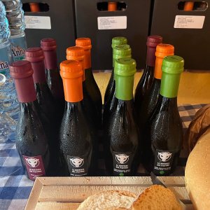 Siena Pecorino & Sheep Farm Experience