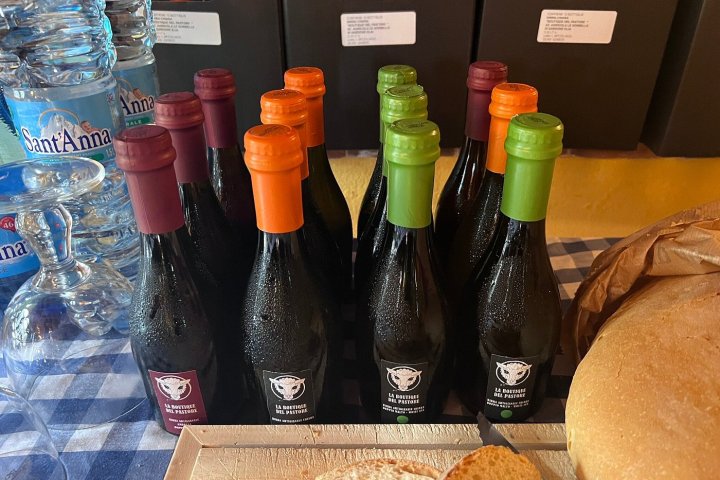 Siena Pecorino & Sheep Farm Experience