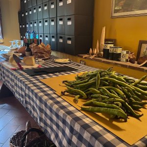 Siena Pecorino & Sheep Farm Experience