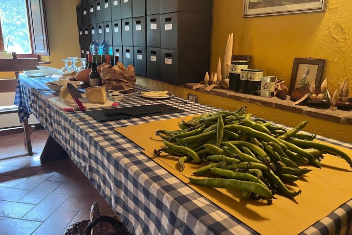 Siena Pecorino & Sheep Farm Experience