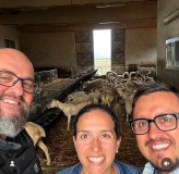 Siena Pecorino & Sheep Farm Experience