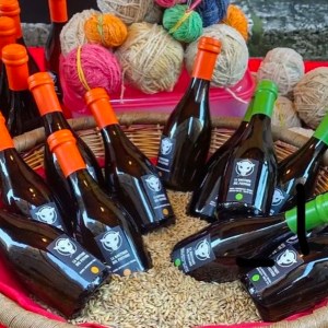 Siena Pecorino & Sheep Farm Experience