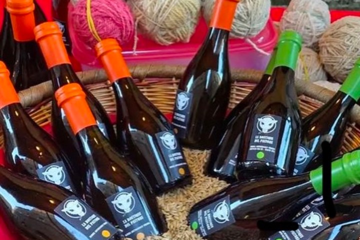 Siena Pecorino & Sheep Farm Experience