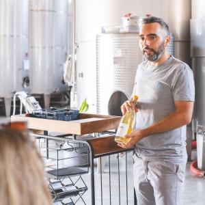 Sicily Winemaker Tour