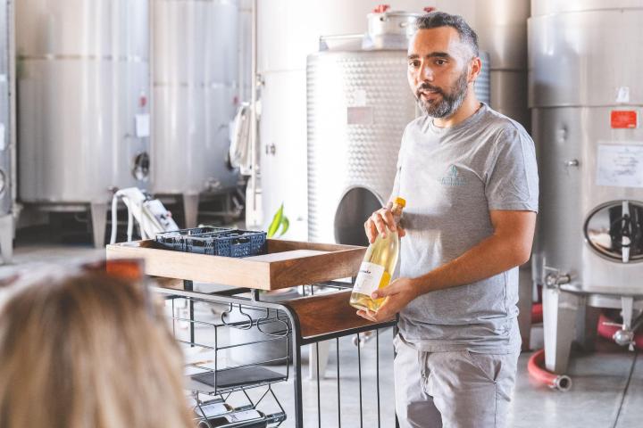 Sicily Winemaker Tour
