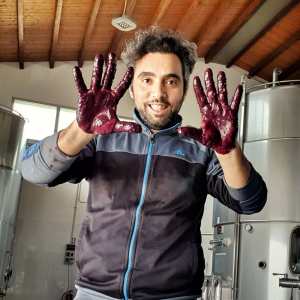 Sicily Winemaker Tour