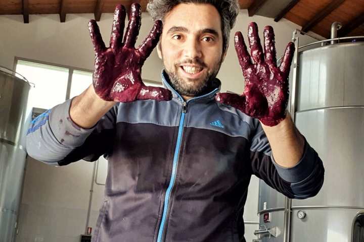 Sicily Winemaker Tour