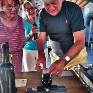 Sicily Winemaker Tour