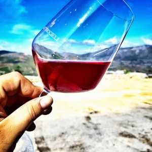 Sicily Winemaker Tour
