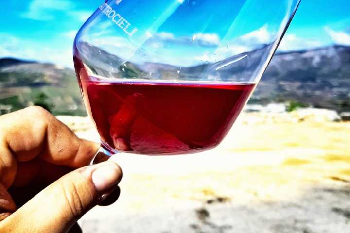 Sicily Winemaker Tour