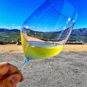 Sicily Winemaker Tour