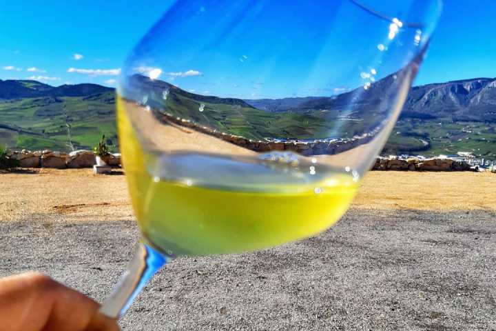 Sicily Winemaker Tour