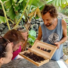 Vanilla farm tour in Tenerife