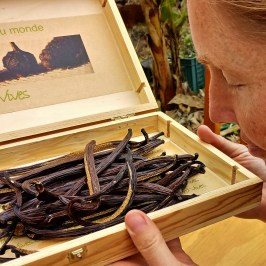 Vanilla farm tour in Tenerife