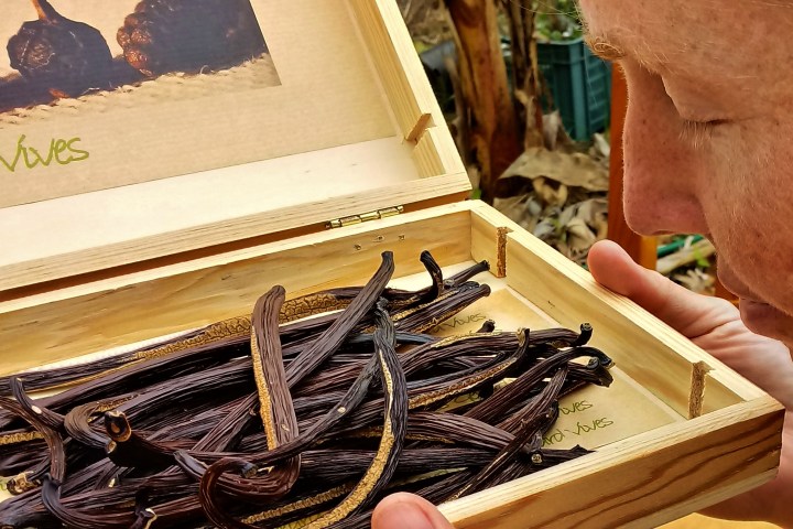 Vanilla farm tour in Tenerife