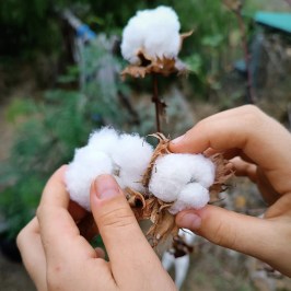 a hand holding a baby