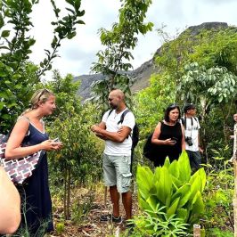 Vanilla farm tour in Tenerife